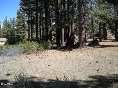 Photo of 776 Knickerbocker Road, Big Bear, CA 92315 (MLS # 225005738)