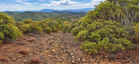 Photo of 5678 Acorn Patch RD, Julian, CA 92036 (MLS # 260020740SD)