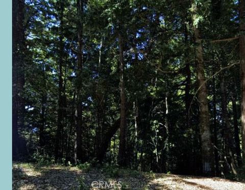 5181 Blue Lake Road Willits CA 95490