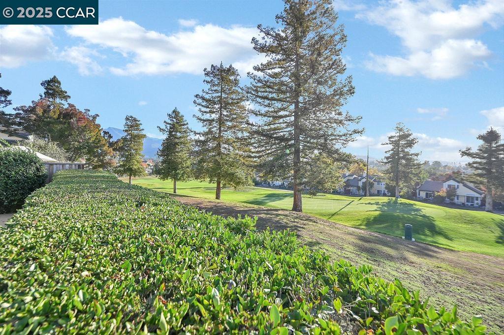 CHAPARRAL SPRNGS - Residential