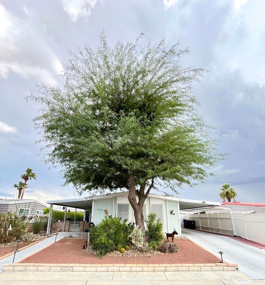 Welcome to this beautifully maintained 2 bedroom, 2 bathroom manufactured home on a permanent foundation (433a), offering 1,440 sq. ft. of living space and pride of ownership throughout. Located in the sought-after Palm Desert Greens, a 55+ guard-gated community, this property qualifies for traditional financing and comes with access to resort-style amenities.Step inside to discover an open floor plan that creates a welcoming flow between the living, dining, and kitchen areas. The home is filled with thoughtful upgrades, including double-pane windows with shutters, ceiling fans in bedrooms and common areas, and a well-maintained HVAC system that provides excellent airflow. Flooring is a tasteful mix of wood panels and plush carpet in the bedrooms, adding both style and comfort.The kitchen is a highlight, featuring abundant counter space, all appliances included, and seamless connection to the dining and living areas--perfect for everyday living and entertaining. A bonus room off the side makes an ideal home office, hobby space, or guest retreat.Both bathrooms offer convenient walk-in showers, adding ease of use and modern functionality.Outside, this property shines. It's the only home on the street with a backyard, designed for entertaining with a low-maintenance astro turf lawn (no mowing, green year-round, water-efficient) and plenty of space for gatherings. The front patio offers another inviting spot for relaxing or hosting guests. Additional features include:Side yard faucet for easy gardening, pet care, or outdoor clean-upStorage shed for your toles or extra storage with lightingSolar system to help keep electricity bills low year-round&#127796; Palm Desert Greens AmenitiesResidents of Palm Desert Greens enjoy:An 18-hole executive golf course3 pools and spasA clubhouse with restaurant and barTennis, pickleball, and bocce courts24-hour guard-gated security and low HOA duesThis home is a rare gem--beautifully cared for, thoughtfully upgraded, and move-in ready. Don't miss your chance to make it yours!Lease Option Available.
