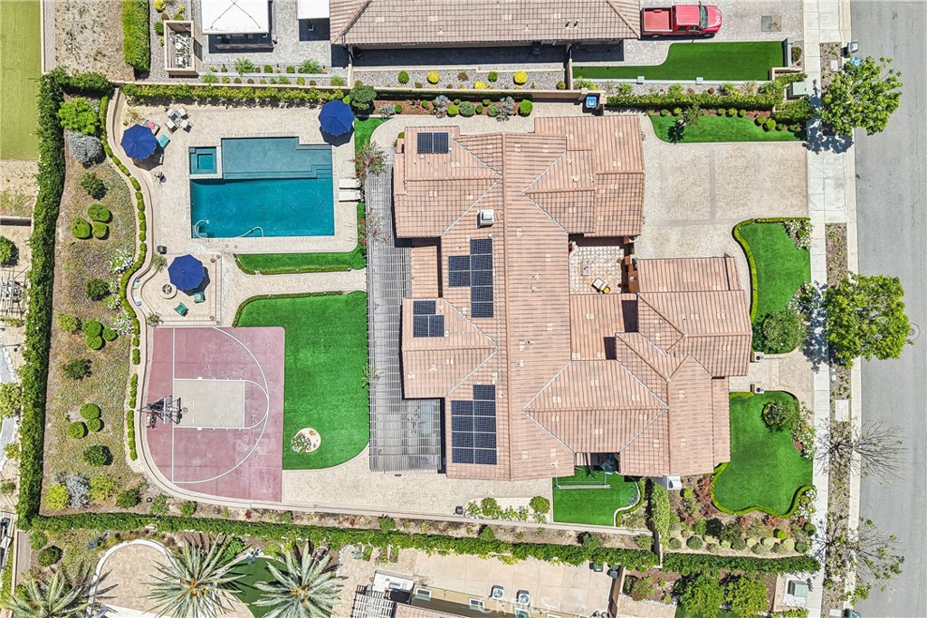 250 Clementine Court