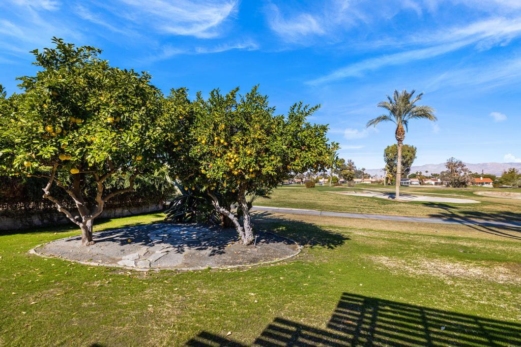 Palm Desert Country - Residential Lease