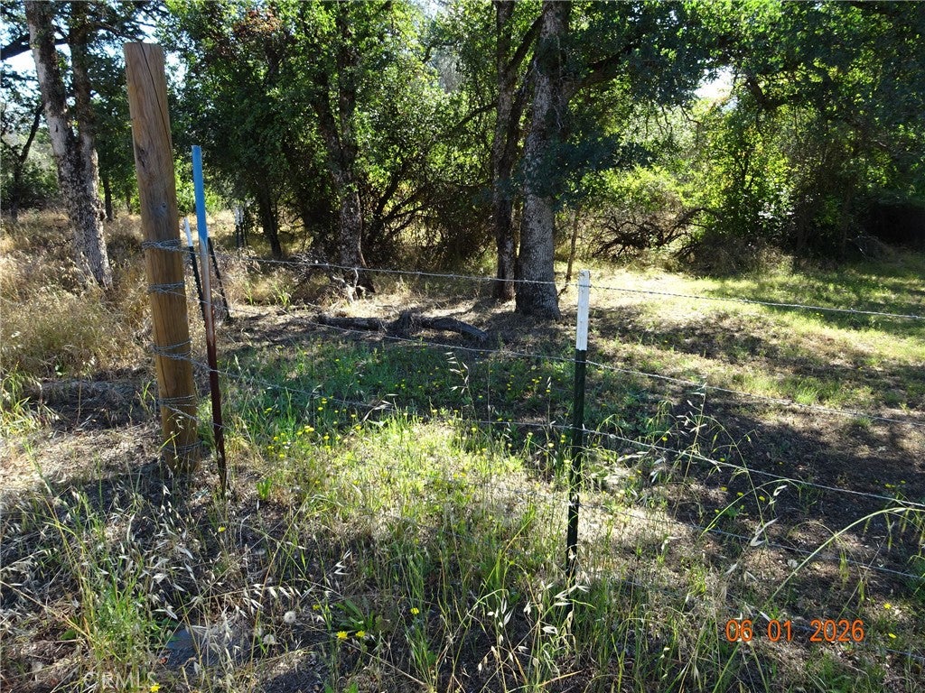 0 Pinemont