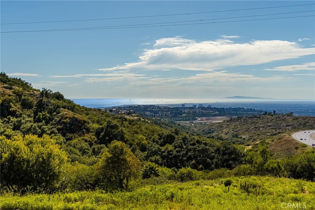34 Talmont, Newport Coast CA 92657 - Photo 52