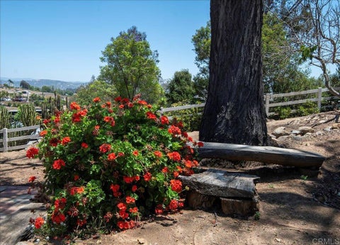 Tiny photo for 1238 Cedar Street, Ramona, CA 92065 (MLS # PTP2604333)