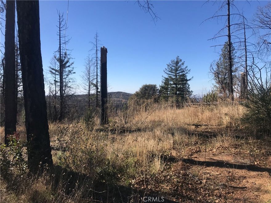 about 2 acres on the corner of milsap bar road and kaelin road. underground power at the property line. 3 adjoining lots available at the same price. 
owner may finance the loan.