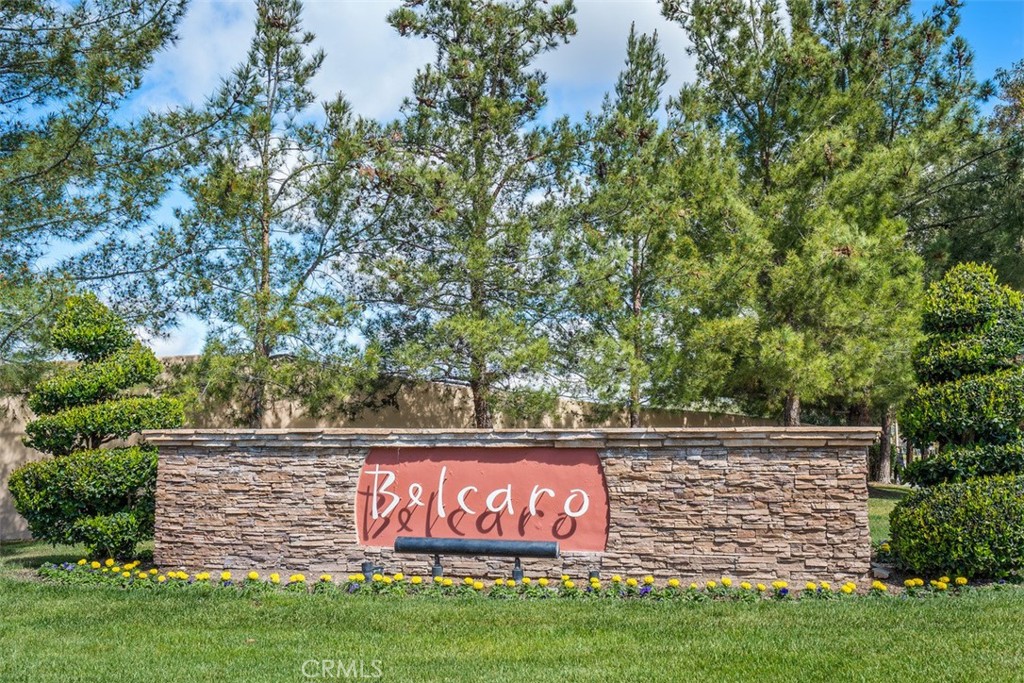 23741 Spruce Meadow Court