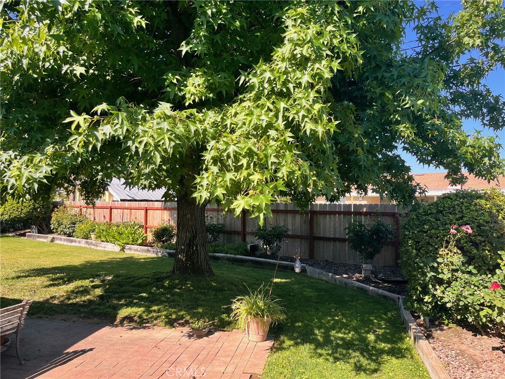 538 Village Court
