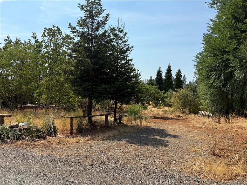 Discover the charm of Paradise at 6541 Wheeler Rd (APN: 050-220-075-000), where the peaceful foothills and fresh mountain air invite you to dream big. This property sits in a community known for its natural beauty, resilience, and welcoming spirit. Surrounded by towering trees and open skies, the land provides a serene backdrop ready for your vision to take shape.
Whether you imagine building a retreat, creating a long-term investment, or simply securing land in this sought-after foothill town, this parcel delivers both possibility and potential. With its tranquil setting and the timeless appeal of Paradise, the opportunity here is as inspiring as the landscape itself.