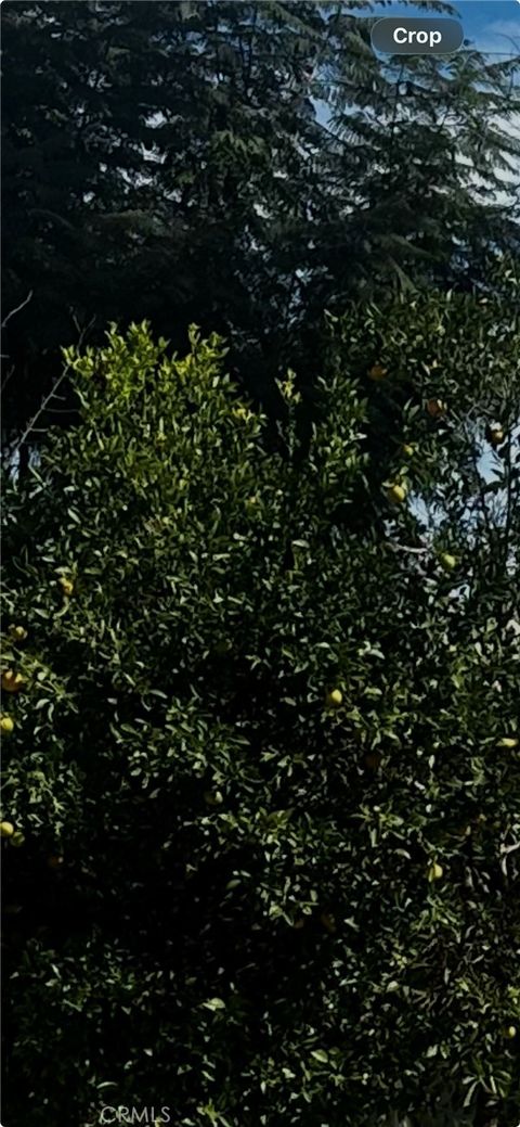 9667 Hillheaven Avenue Tujunga CA 91042