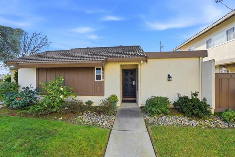 Photo of 1116 Strayer Drive, San Jose, CA 95129 (MLS # ML82033298)