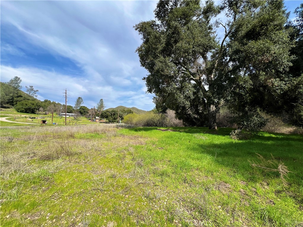 6245 Parkhill