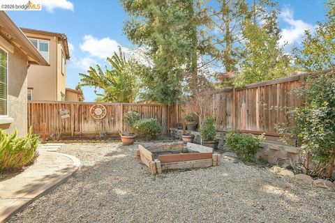 Tiny photo for 2973 2973 Blumen Ave Ave, Brentwood, CA 94513 (MLS # 41125233)