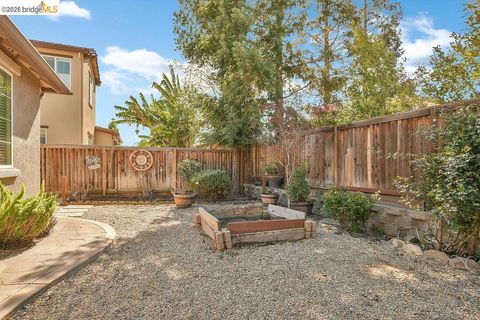 Tiny photo for 2973 2973 Blumen Ave Ave, Brentwood, CA 94513 (MLS # 41125233)