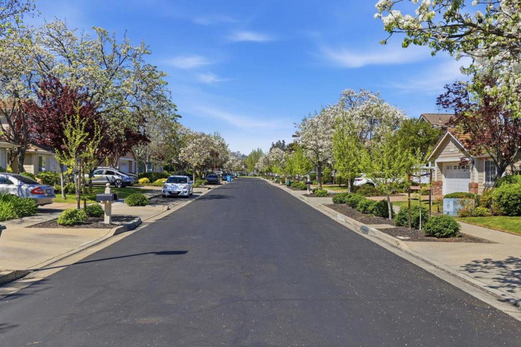 367 Montserrat Drive