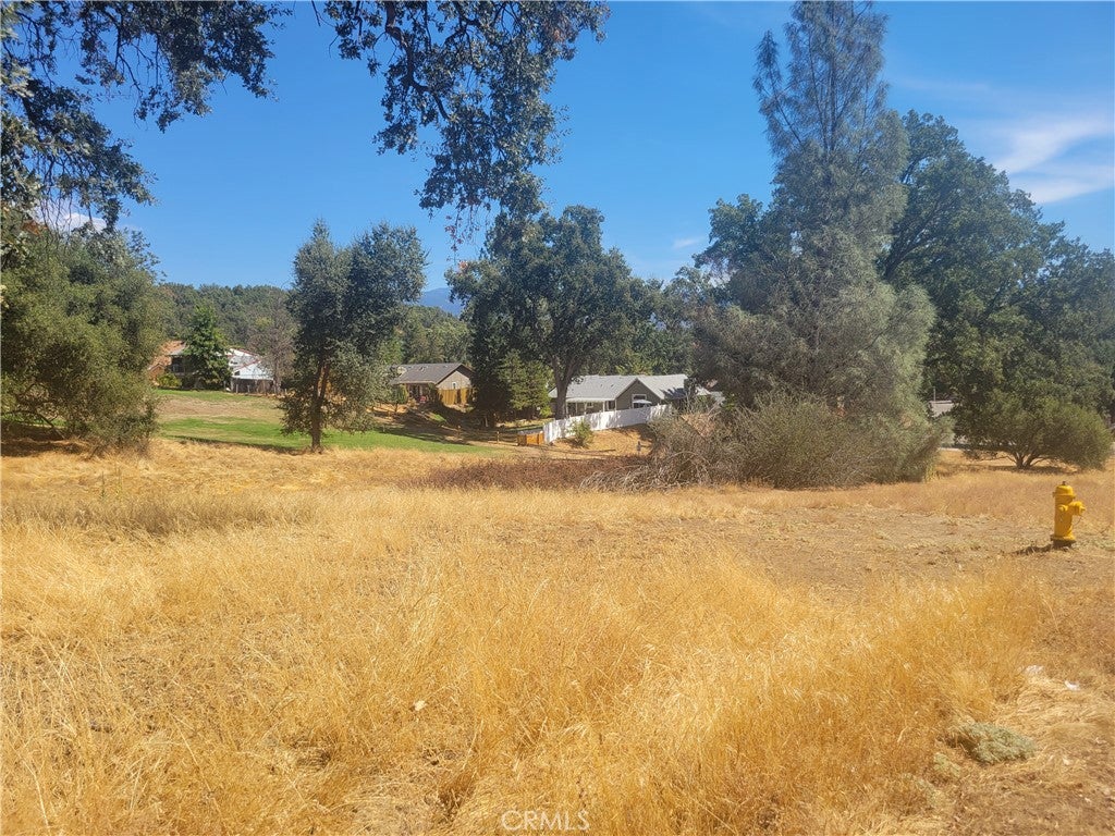 1 Acre Griffin Drive