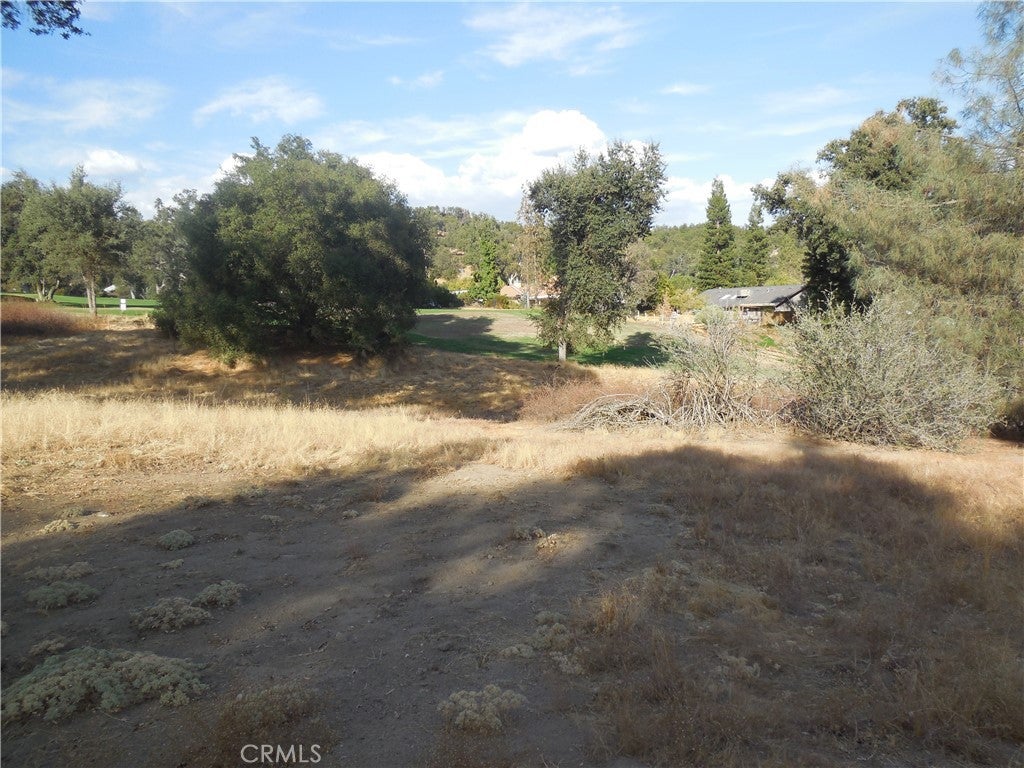 1 Acre Griffin Drive