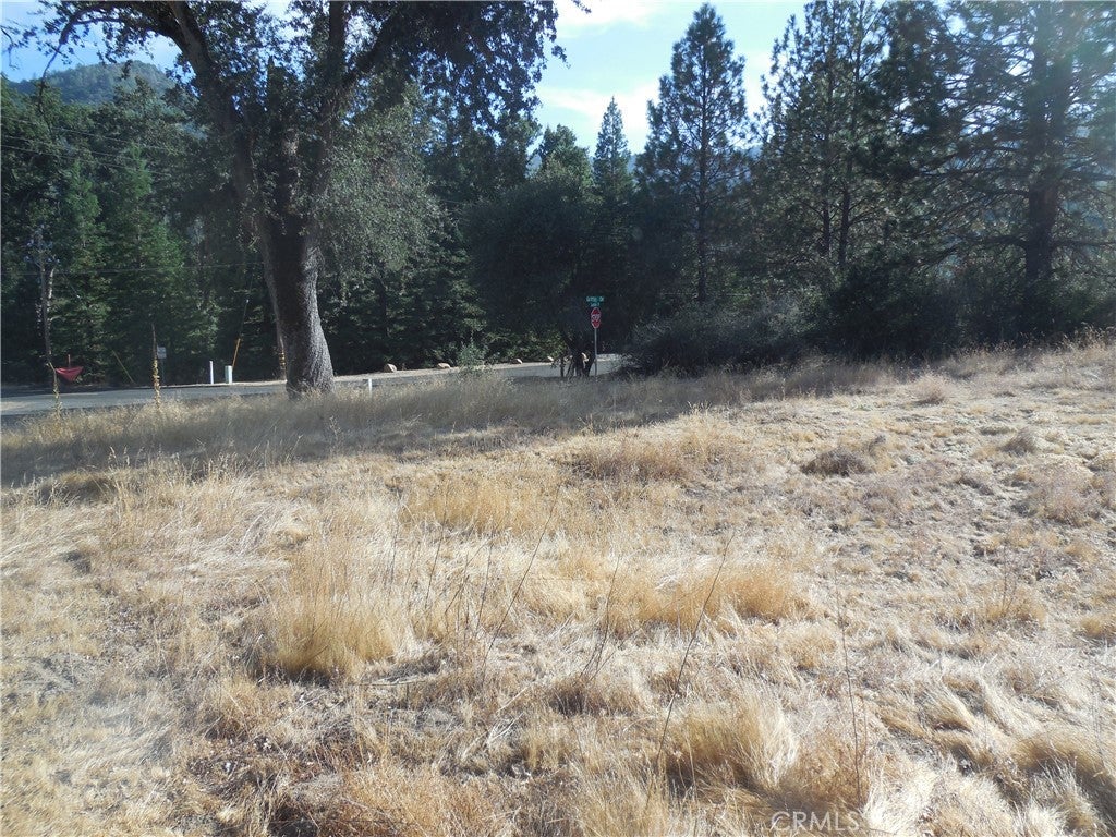 1 Acre Griffin Drive