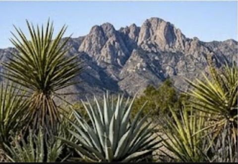 Photo of 63330 Jeraboa Road, Mountain Center, CA 92561 (MLS # 219145871DA)