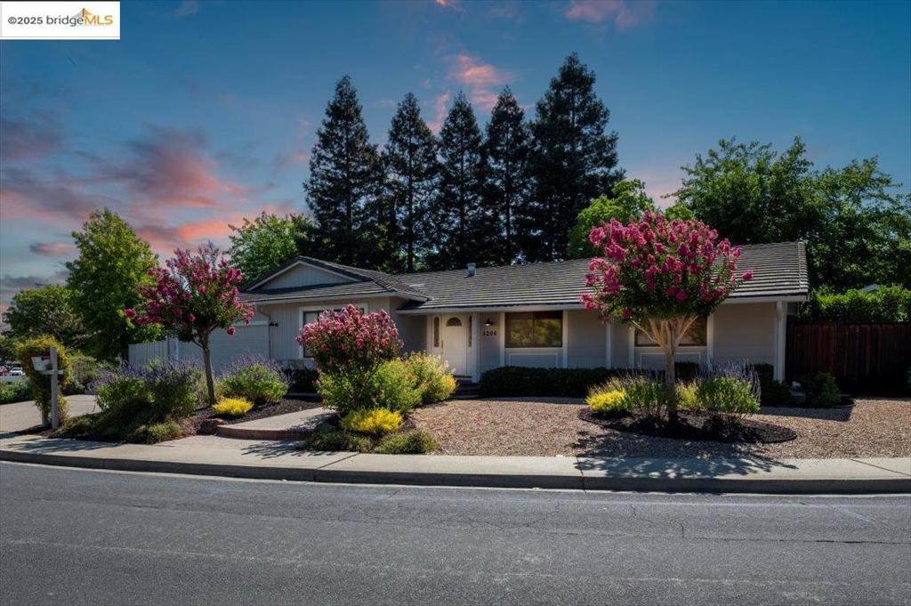 Beautifully maintained single-story in the coveted Dana Farms neighborhood, offering 4 bedrooms and 2 updated bathrooms. Freshly painted throughout, this move-in ready home features a formal living room/dining area and a spacious family room with vaulted ceilings and a cozy fireplace. The modern kitchen boasts premium wood cabinets and quality appliances, while both bathrooms have been refreshed. Practical upgrades include a newer HVAC system and energy-efficient dual-pane windows. The expansive backyard is perfect for entertaining, with a large patio, mature redwood trees for cooling shade, and an expansive side-yard gate ideal for storing your boat or RV. Storage abounds with two large sheds. HOA amenities include a sparkling pool, clubhouse, playground, and BBQ area—perfect for relaxing weekends or hosting friends. Just minutes to parks, hiking trails, Oakhurst Country Club, shopping, and dining. Experience the best of the East Bay lifestyle in this ready-to-enjoy Dana Farms gem!