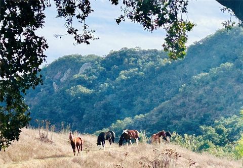 Tiny photo for 4905 Huasna Road, Arroyo Grande, CA 93420 (MLS # PI25062406)