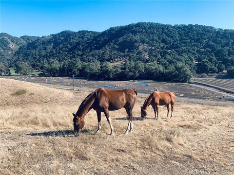 Tiny photo for 4905 Huasna Road, Arroyo Grande, CA 93420 (MLS # PI25062406)