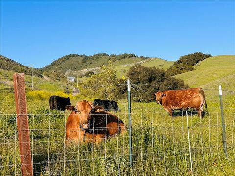 Tiny photo for 4905 Huasna Road, Arroyo Grande, CA 93420 (MLS # PI25062406)