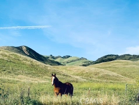 Tiny photo for 4905 Huasna Road, Arroyo Grande, CA 93420 (MLS # PI25062406)