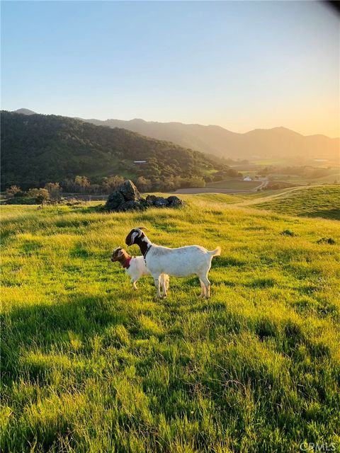 Tiny photo for 4905 Huasna Road, Arroyo Grande, CA 93420 (MLS # PI25062406)