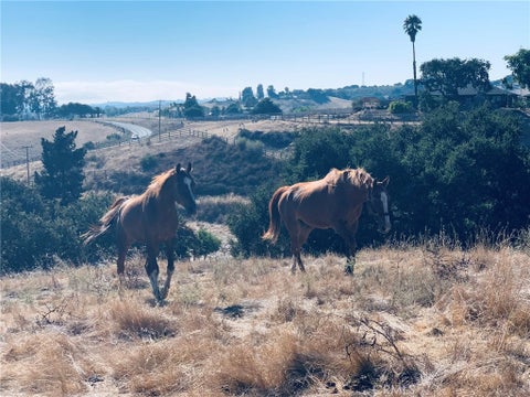 Tiny photo for 4905 Huasna Road, Arroyo Grande, CA 93420 (MLS # PI25062406)
