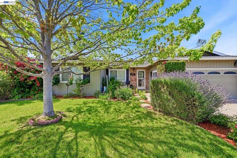 Photo of 5673 Drysdale Dr Dr, San Jose, CA 95124 (MLS # 41130071)