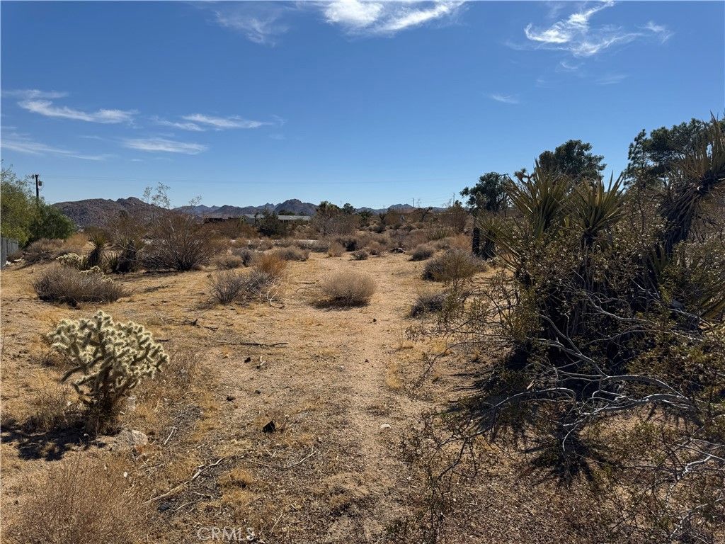 Photo of 7217 Sunny Vista Road, Joshua Tree, CA 92252 (MLS # JT25245356)