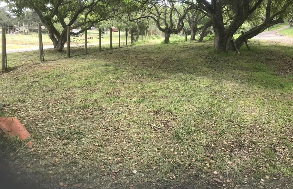 Unique opportunity Build your dream home! Close access to 101 and shopping center and schools! Property Highlights: Gently sloping, usable terrain with mature oak trees. Shared well with the neighbor. Power available at the street. Secluded, yet accessible location, ideal for peaceful living. You take a right slightly past 7035 Valle Pacifico at Legard Lane.