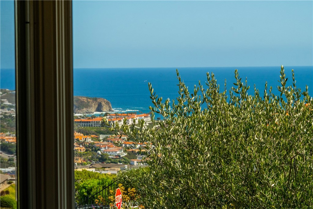 32201 Sea Island, Dana Point CA 92629 - Photo 41