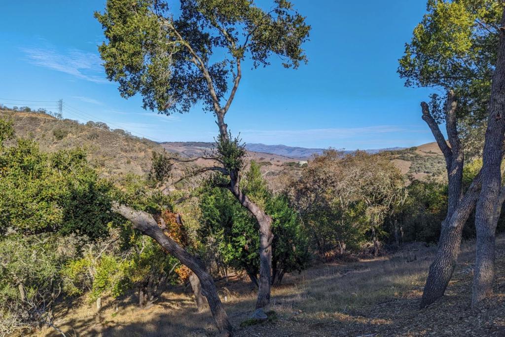 21292 Cinnabar Hills Road