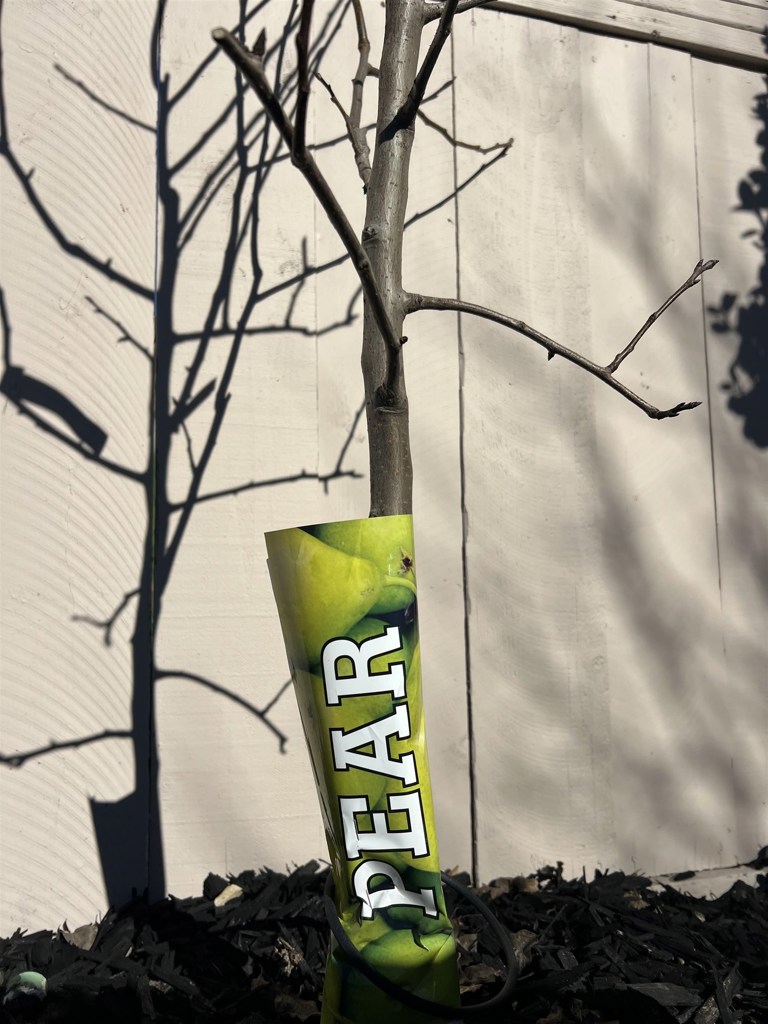 LAKE ALHAMBRA - Residential