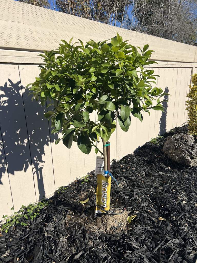 LAKE ALHAMBRA - Residential