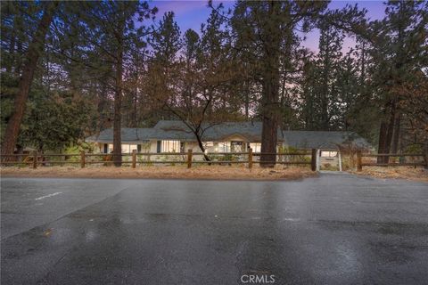 Photo of 2046 Thrush Rd, Wrightwood, CA 92397 (MLS # HD25259945)