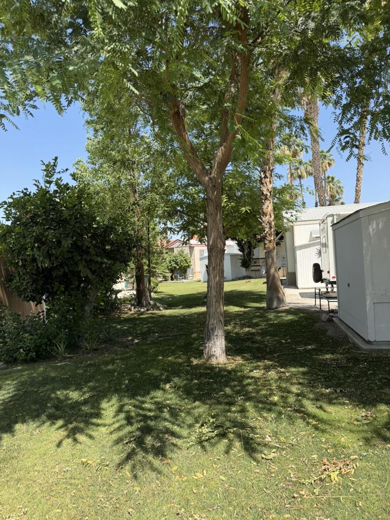 84136 Avenue 44 181
