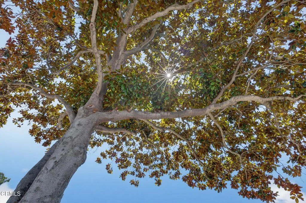 Ventura, California 93003, United States, 3 Bedrooms Bedrooms, ,2 BathroomsBathrooms,Residential,Active,216222