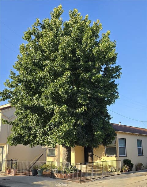Photo of 5724 California AVE, Long Beach, CA 90805 (MLS # PW26143538)