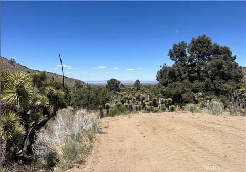 Photo of 0 Evergreen Rd, Pinon Hills, CA 92372 (MLS # HD26004014)