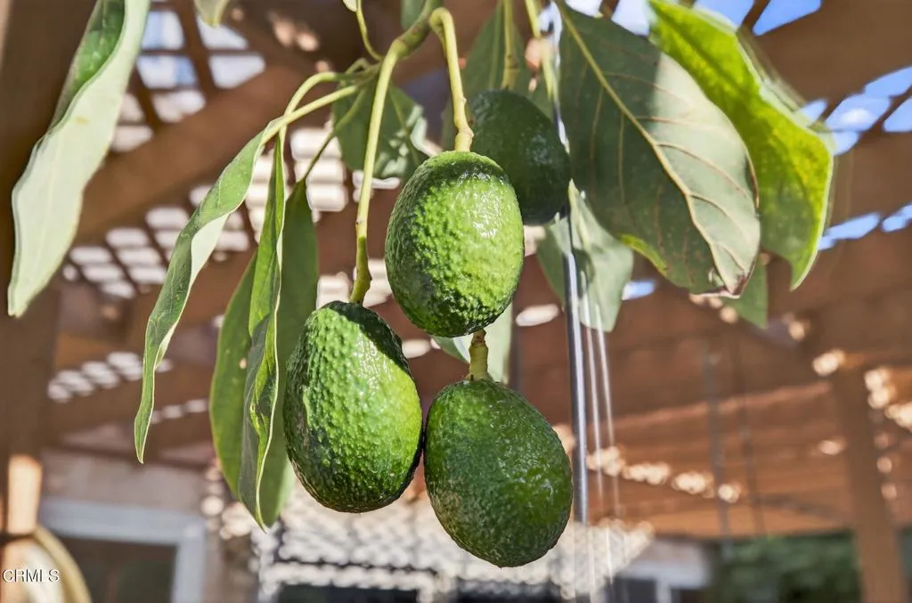 Ventura, California 93004, United States, 3 Bedrooms Bedrooms, ,3 BathroomsBathrooms,Residential,Active,240211