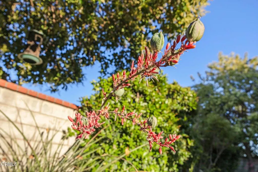 Saugus, California 91390, United States, 3 Bedrooms Bedrooms, ,2 BathroomsBathrooms,Residential,Active,169668