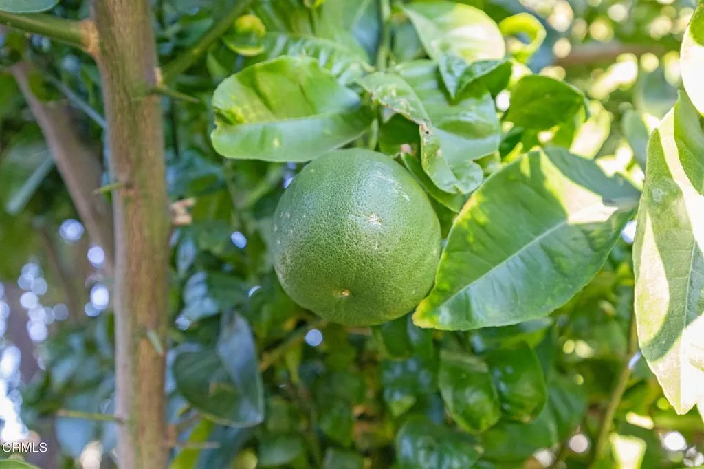 Saugus, California 91390, United States, 3 Bedrooms Bedrooms, ,2 BathroomsBathrooms,Residential,Active,169668