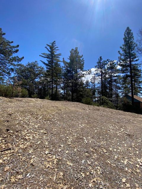 Photo of 52952 Cedar Crest Drive Drive, Idyllwild, CA 92549 (MLS # 219136320DA)