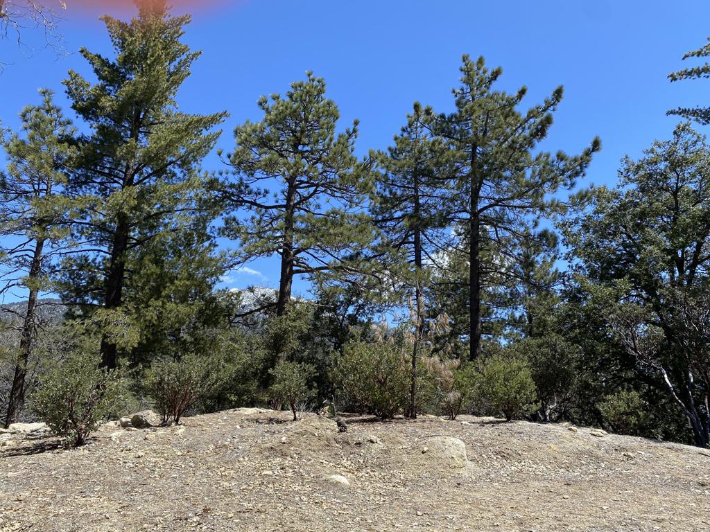 Not Applicable-1 - Land