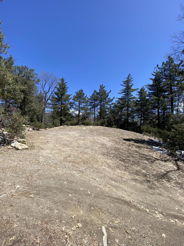 Not Applicable-1 - Land