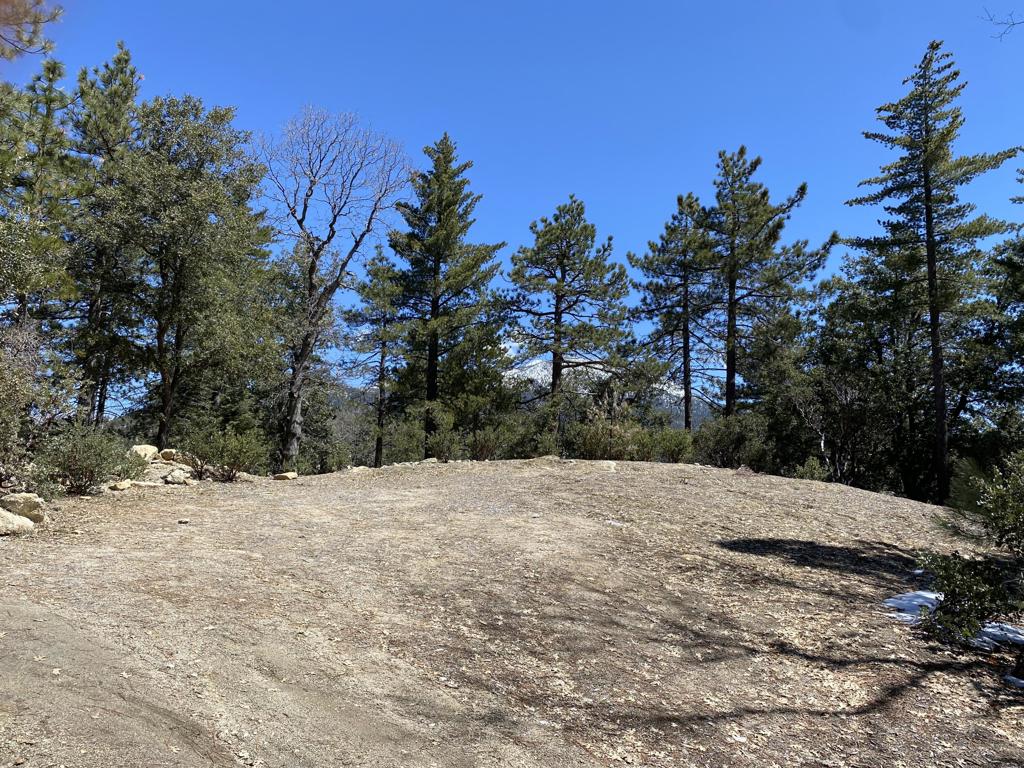 Not Applicable-1 - Land